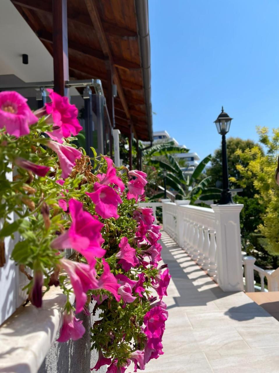Hotel Ramosaco, Radhime, Vlore Ngoại thất bức ảnh